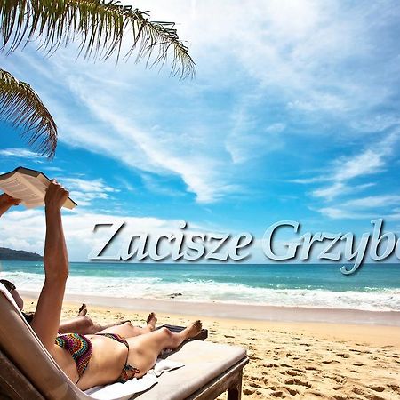 格里兹鲍Zacisze Grzybowo公寓 外观 照片